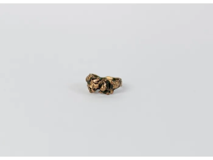 Bronze imitation of nature