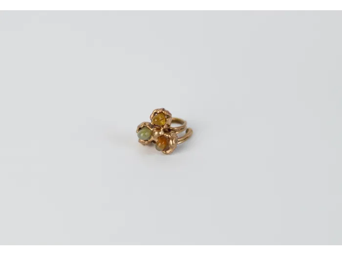 Bronze clover