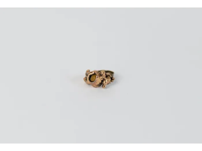 Cast bronze ring